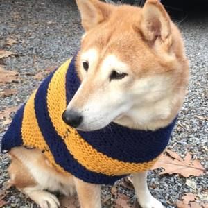 Meet your Posher, Chie